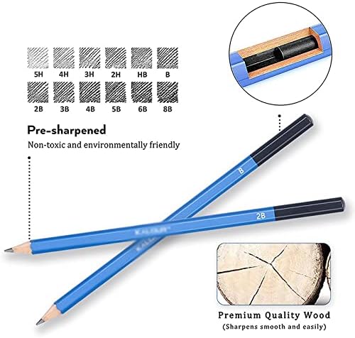 CXDTBH 60pcs / set Profesionalna skica olovka za olovke četkica Drvena kutija za skicirane alate Drveni
