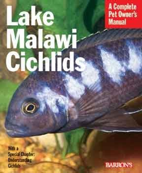 Jezero Malavi Ciklidi