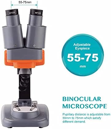 TREXD 40X binokularni Stereo mikroskop za lemljenje PCB-a mineralni uzorak koji gleda djecu naučno obrazovanje alat za popravku telefona