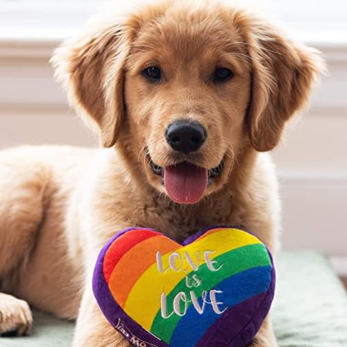 H & K za pse Pliša za pliš | Ponos srca | Pride Funny Dog igračka | Igračka psa sa škljocačem | Dar za pse