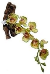 Magnaturals 16 Yellow Orchid Pet-Tekk Magnetic Reptile Plant