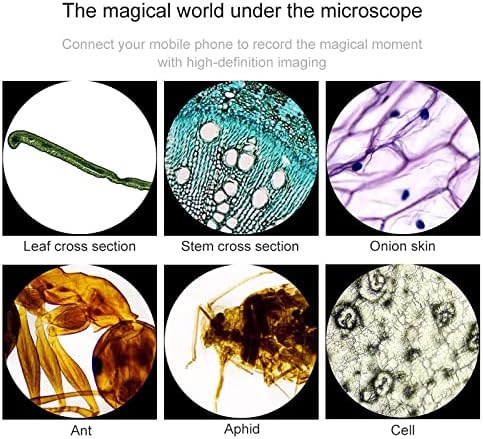 Laboratorijski mikroskop, dvolični mikroskop 40x-1000x za odrasle, sa luksuznim poklon kesom + držač mobilnog