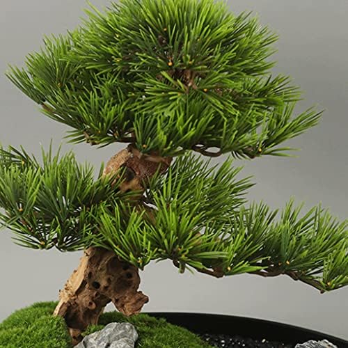 LDCHNH Veliki okrugli sto za ormarić Srednjeg bonsai kineski ukrasi Micro Pejzažna okrugla kutija Ormar