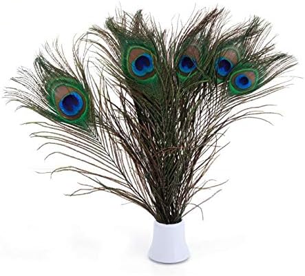 Ttndstore 100kom paun pero Dužina 25-30cm 10-12 prirodni paun perje za paun dekoracije za Home Hotel