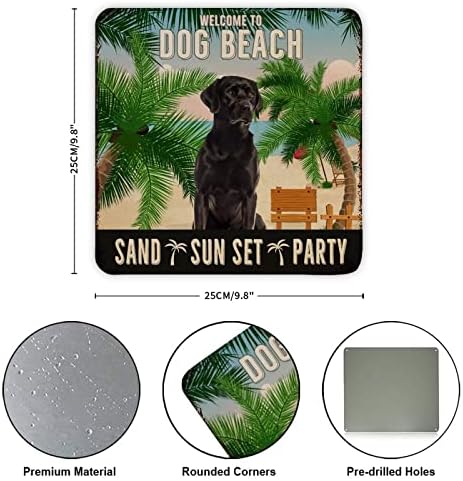 Metalni znak Dobrodošli u pas na plaži Sunset Party Funny Hanger za pse Vintage Pub Potpiši plak sa sarcastičnom kućnom ljubimcem izreka za retro metal umjetnički otisci za trijem za ulaz od 10 inča