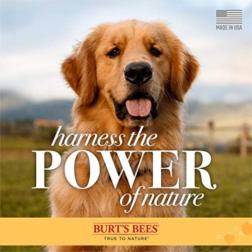 Burt's Bees for Dogs ovseni šampon i regenerator za pse sa koloidnim ovsenim brašnom i medom-Burts Bees
