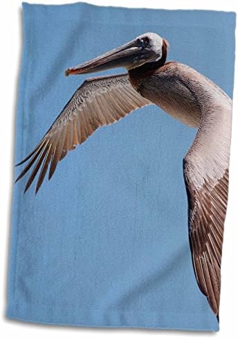 3Droza Danita Delimont - ptice - pelikan koji leti preko pacifičke obale. - Ručnici