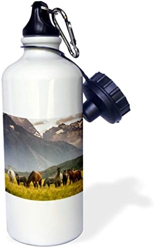 3Droze divlje konje u bazi planina, južnog Čilea - boce za vodu