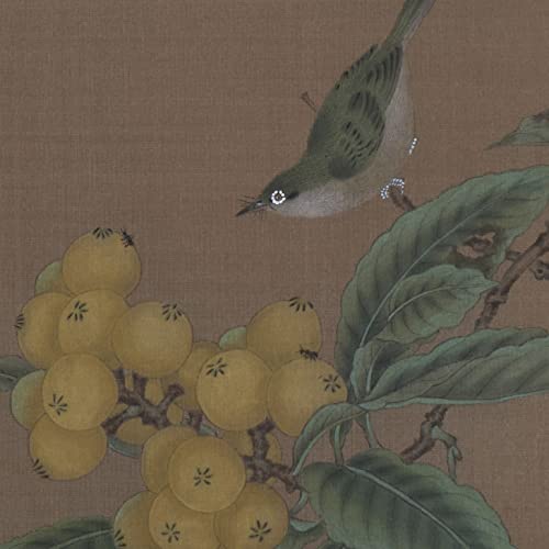 Loquat Bird kineska slika ručno obojena umjetnička djela zidna Umjetnost orijentalna Azijska četka s tintom