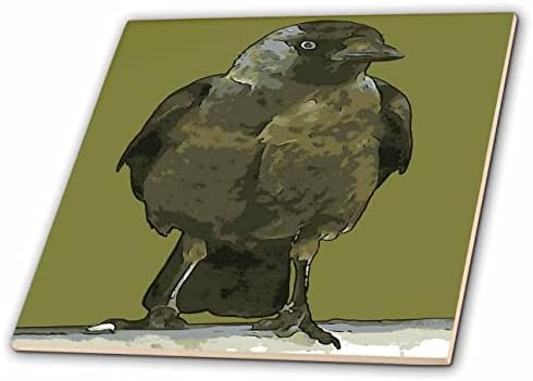 3drose crna vrana sa kapuljačom smještena na Balustradi Crne obrise Art-Tiles