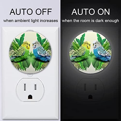 2 paket Plug-in Nightlight LED Night Light zeleni i Plavi papagaj u listovima sa senzorom sumraka do zore