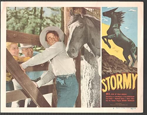 Filmski POSTER: Stormy 11 x14 lobi kartica 5 Rex kralj konja Noah Beery, Jr. Jean Rogers Western