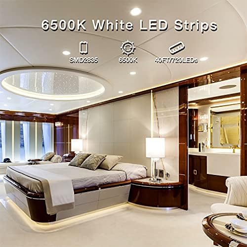 DayBetter LED traka Svjetla 100ft, RGB LED svjetla kontrolirana, 24 tipke Daljinski 5050 za spavaću sobu,