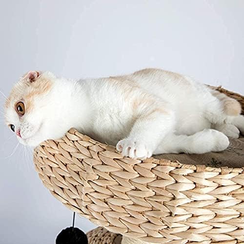 Haieshop Mačji Stub Za Grebanje Mačji Toranj Mačje Drvo Mačja Kuća Ljetni Nosilj Za Mačke Mali Penjački