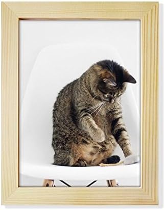 Diathinker Animal Funny Action Cat Shoot Desktop ukrasite foto okvir Display Art Slikarstvo Drveni