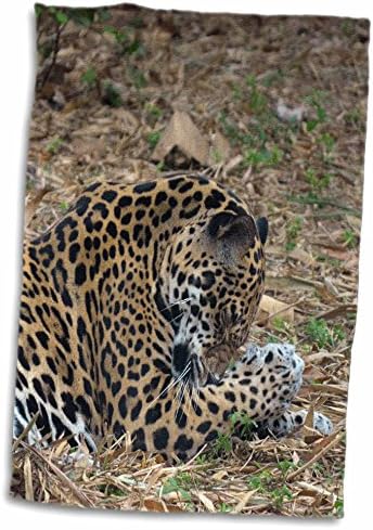 3Droza Susans zoo crew životinje - jaguar za čišćenje nogu - ručnici