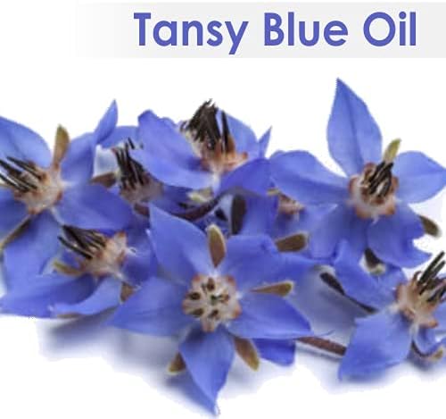 Tansy ulje eterično ulje čisto i prirodno nerazređeno nerafinirano neovlašteno neobreženo organsko