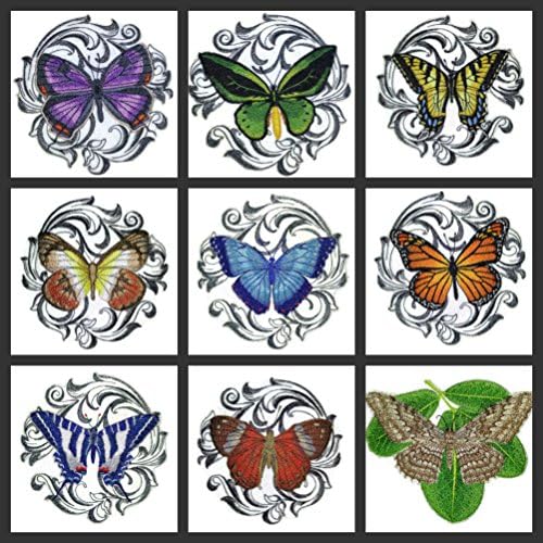 Izađite po mjeri i jedinstveni nevjerojatni šareni leptiri [harlekin metalmark sa barokom] vezeno željezo