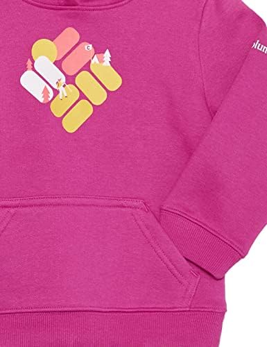 Columbia unisex-Child Tabor Heights Graphic Hoodie