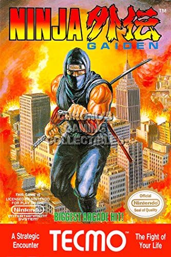 PrimePoster - Ninja Gaiden Box art Poster sjajni finiš napravljen u SAD - u-YNGN001