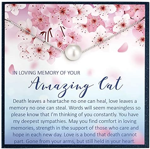 u ljubavi uspomena na mačku poklon za mačku Memorijalni poklon za mačku preminuli poklon pet Memorijalna